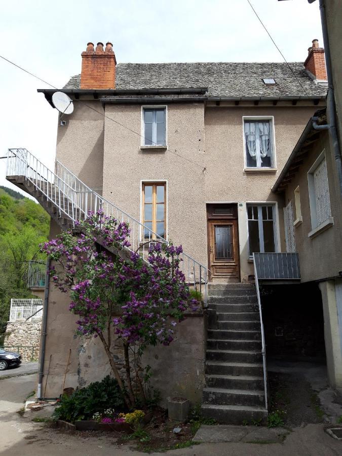 Gîte de Truyère Entraygues-sur-Truyère Exterior foto